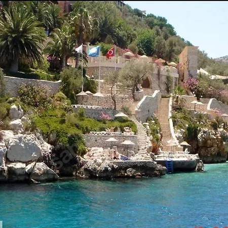 Sea View Bougainvillea 52