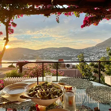 Sea View Bougainvillea 52